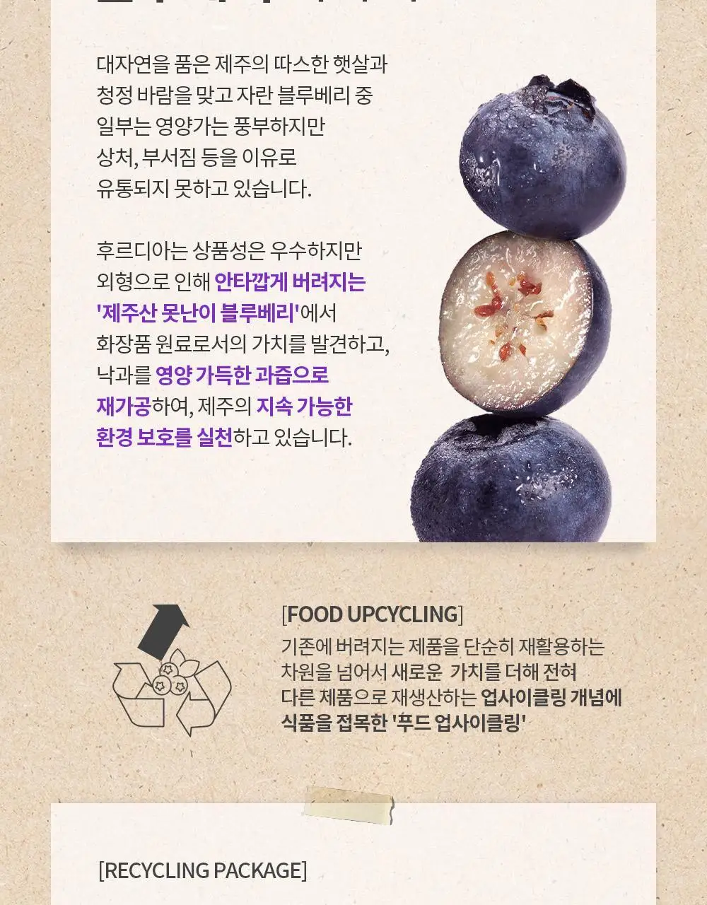 [각질순삭&매끈탱글]후르디아 블루베리 보습 허니 립밤10ml 상세페이지 27